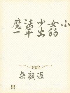 魔法少女小圆哪一年出的