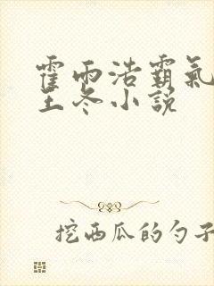 霍雨浩霸气壁吻王冬小说