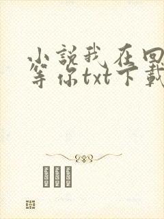 小说我在回忆里等你txt下载