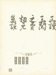 万相之王正版小说免费阅读