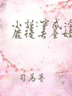 小说:穿成冷宫废后去养娃