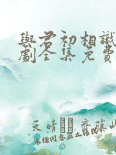 与君初相识电视剧全集免费观看