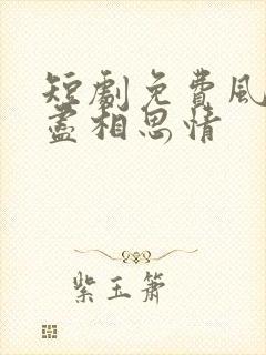 短剧免费风雪无尽相思情