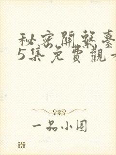 秘密关系台剧第5集免费观看