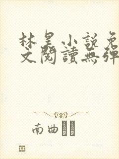 林昊小说免费全文阅读无弹窗