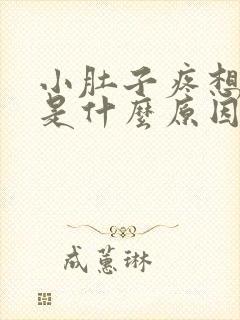 小肚子疼想拉尿是什么原因