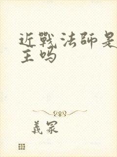 近战法师是双男主吗