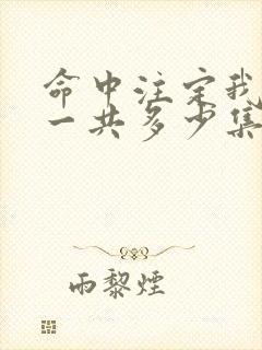 命中注定我爱你一共多少集