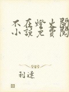 不在灯火阑珊处小说免费阅读