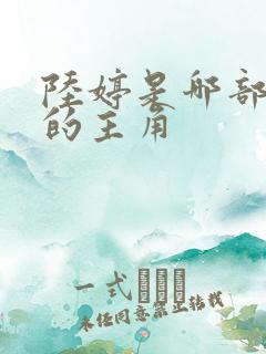 陆婷是哪部小说的主角