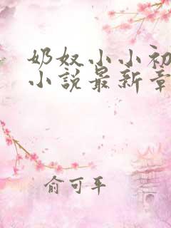 奶奴小小初进府小说最新章节内容