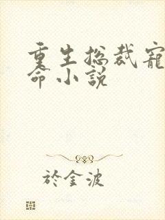 重生总裁宠妻如命小说