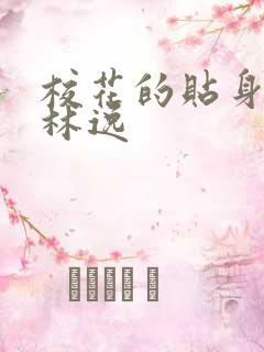 校花的贴身高手林逸