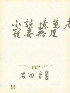 小说 亿万老公宠妻无度