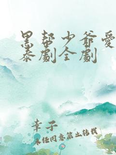 黑帮少爷爱上我泰剧全剧