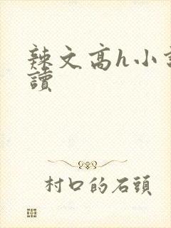 辣文高h小说阅读