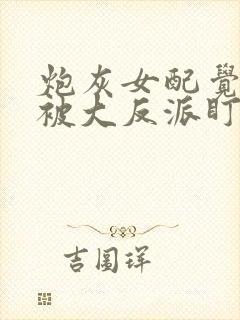 炮灰女配觉醒后被大反派盯上免费阅读