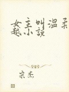 女主叫温柔的穿越小说