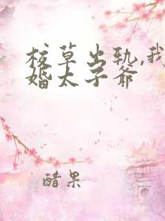 校草出轨,我闪婚太子爷