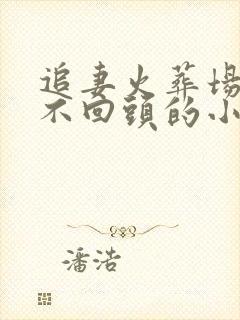 追妻火葬场女主不回头的小说