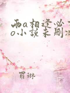 两a相逢必有一o小说未删减