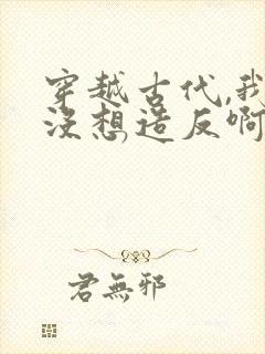 穿越古代,我真没想造反啊全本免费阅读