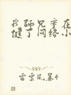 我师兄实在太稳健了网络小说