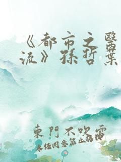 《都市之医武风流》孙哲叶巧