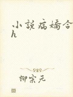 小说病娇合集有h