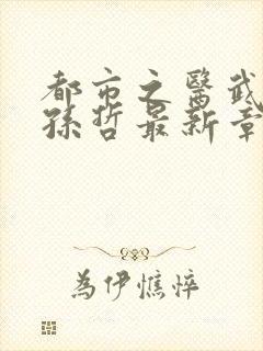 都市之医武风流孙哲最新章节在线阅读