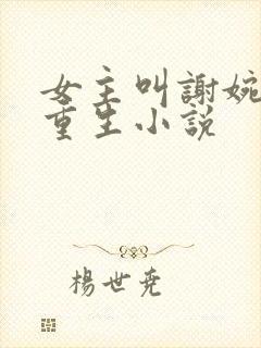 女主叫谢婉宁的重生小说