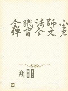 全职法师小说无弹窗全文免费阅读