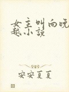 女主叫向晚的穿越小说