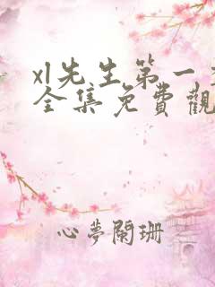 xl先生第一季全集免费观看