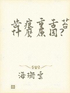 齿痕重舌苔白是什么原因?