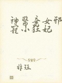 神医弃女邪王嗜宠小狂妃