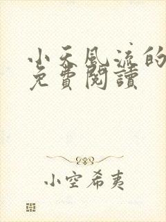 小天风流的小说免费阅读