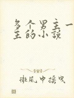 多个男主一个女主的小说