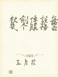 杖剑传说每天开几个服务器