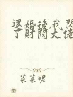 退婚后,我闪婚了财阀大佬