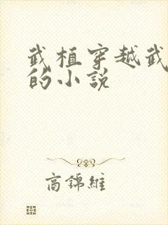 武植穿越武大郎的小说