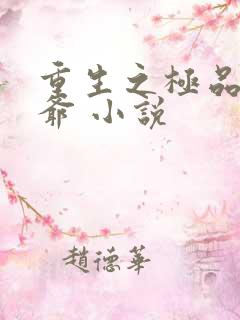 重生之极品小王爷 小说