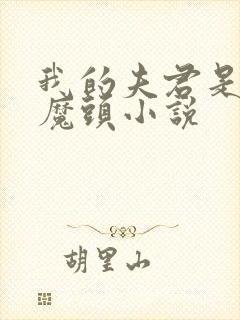 我的夫君是灭世魔头小说