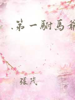 .第一驸马爷