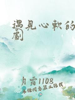 遇见心软的神网剧