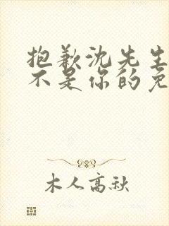 抱歉沈先生孩子不是你的免费看全集