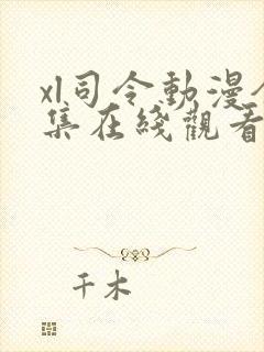 xl司令动漫全集在线观看免费