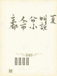 主人公叫夏凡的都市小说