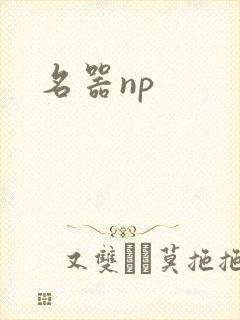 名器np