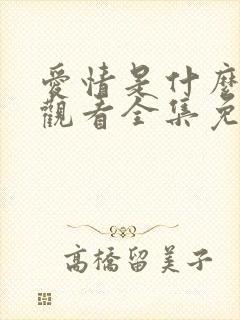 爱情是什么在线观看全集免费播放